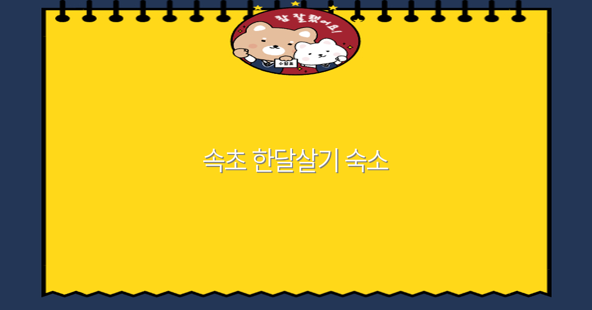 속초 한달살기 숙소 추천으로 떠나는 최고의 여행 경험 2025년 최신 가이드