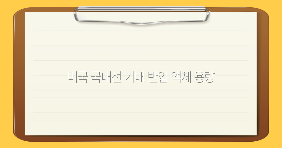 2025년 미국 국내선 기내 반입 액체 용량 가이드, 꼭 알아야 할 최신 규정