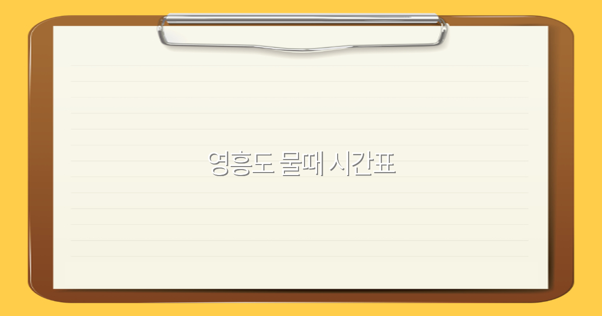 영흥도 물때 시간표 2025년 최신 정보로 여행 계획 세우기