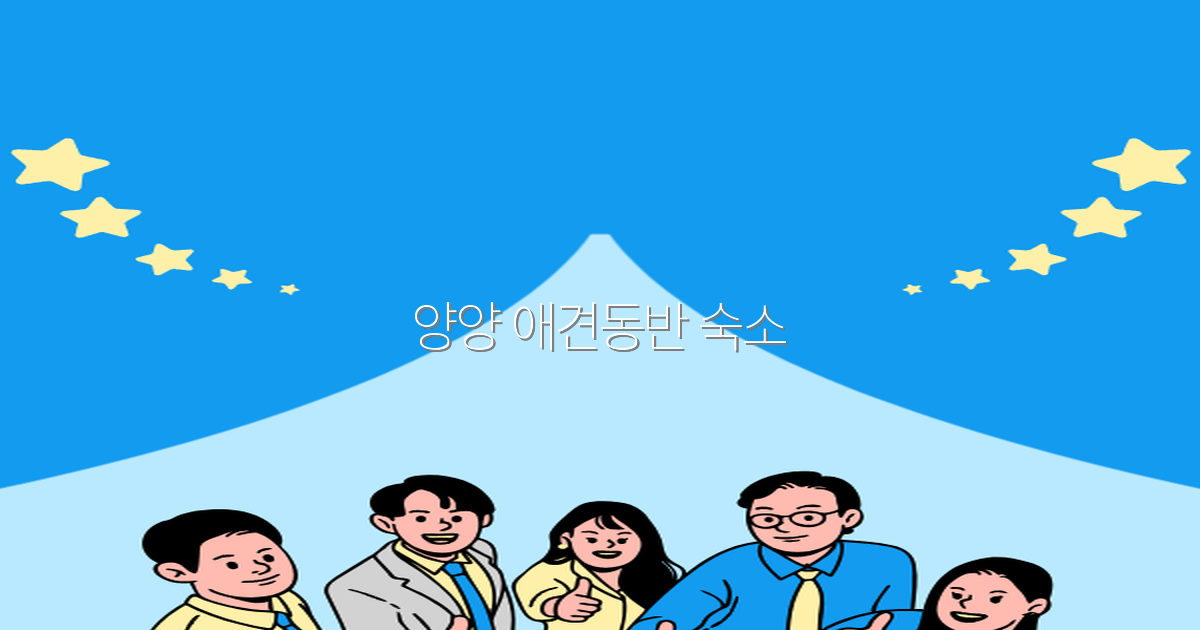 2025년 양양 애견동반 숙소 추천으로 즐거운 여행 완벽하게 준비하기