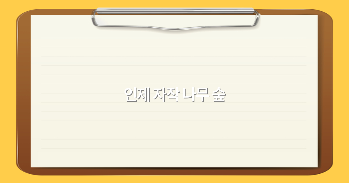 인제 자작 나무 숲 여행 가이드 2025년 최신 추천 명소