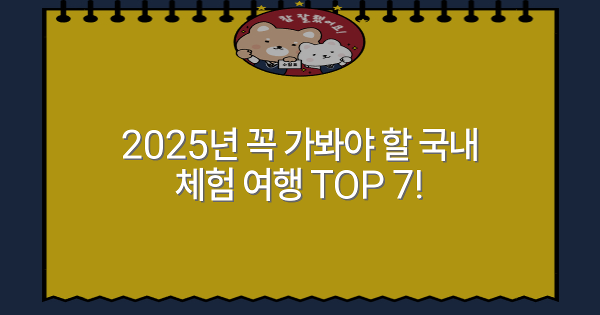 2025년 꼭 가봐야 할 국내 체험 여행 TOP 7!