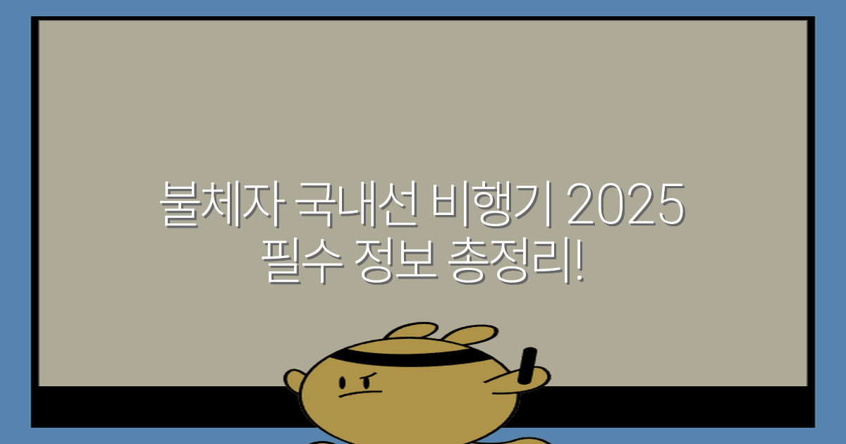 불체자 국내선 비행기 2025 필수 정보 총정리!