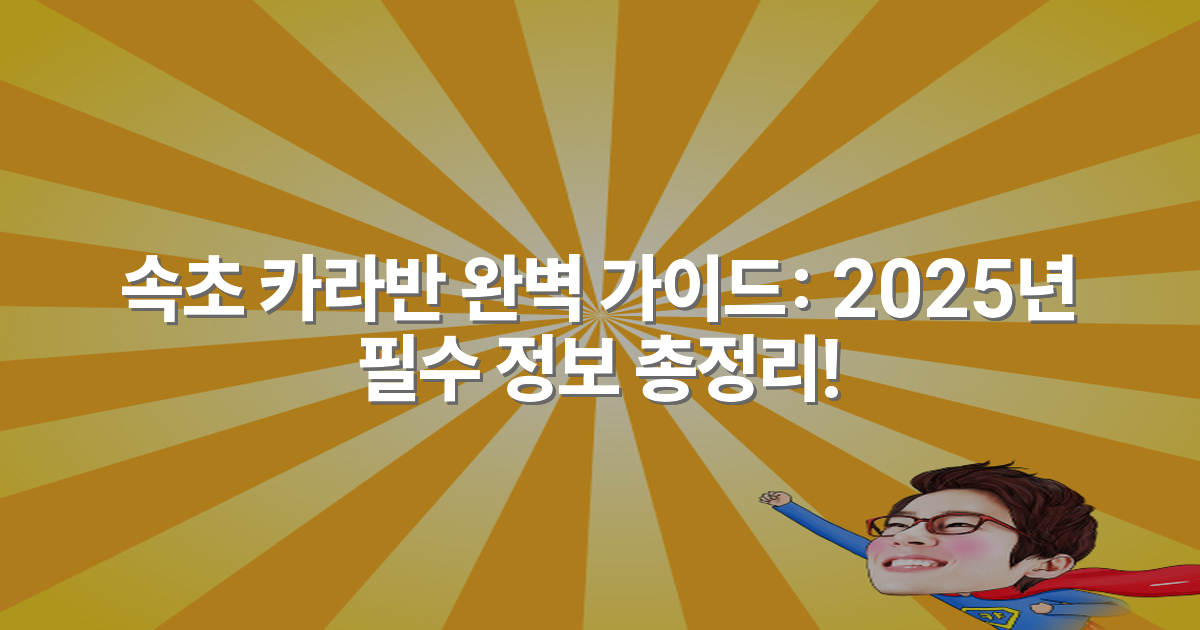 속초 카라반 완벽 가이드: 2025년 필수 정보 총정리!